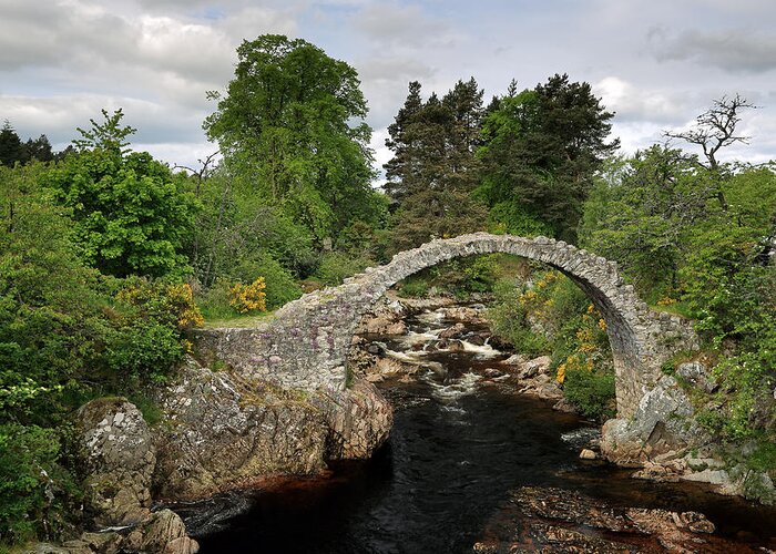 Carrbridge Greeting Card featuring the photograph Carrbridge #2 by Grant Glendinning