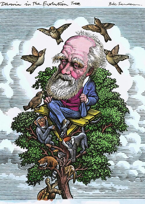 Charles Darwin Greeting Card featuring the photograph Charles Darwin In His Evolutionary Tree #1 by Bill Sanderson