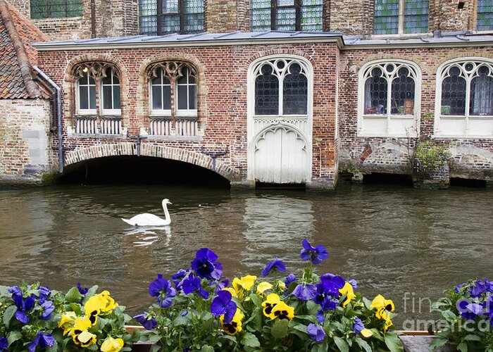 Europe Greeting Card featuring the photograph Church and Swan 2 by Crystal Nederman