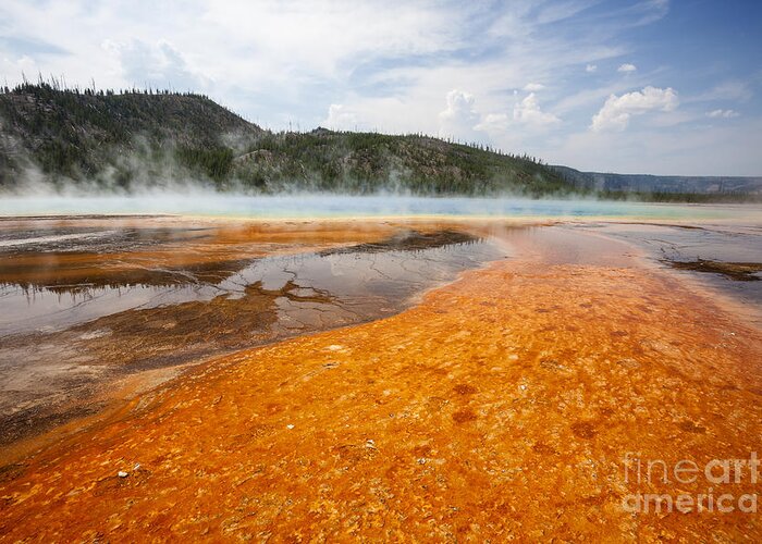 Grand Prismatic Spring Greeting Card featuring the photograph Colorful bacteria mat surrounding Grand Prismatic Spring #1 by Bryan Mullennix