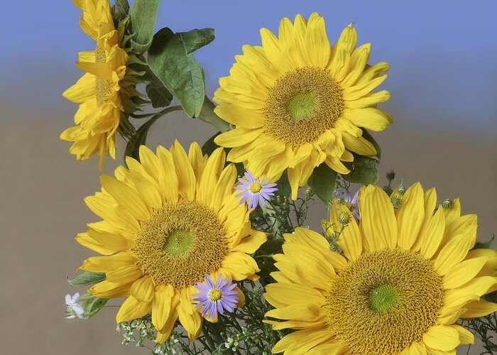 Feb0514 Greeting Card featuring the photograph Common Sunflower And Asters #1 by Tim Fitzharris