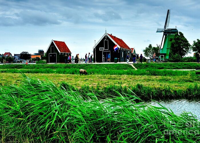 Dutch Greeting Card featuring the photograph Dutch Village Farm by Joe Ng