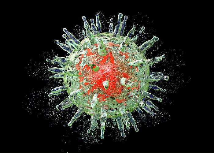 3 Dimensional Greeting Card featuring the photograph Epstein-barr Virus Destruction #1 by Kateryna Kon/science Photo Library
