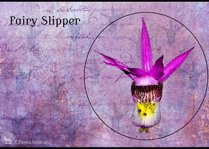 Flower Greeting Card featuring the photograph Fairy Slipper by Fred Denner