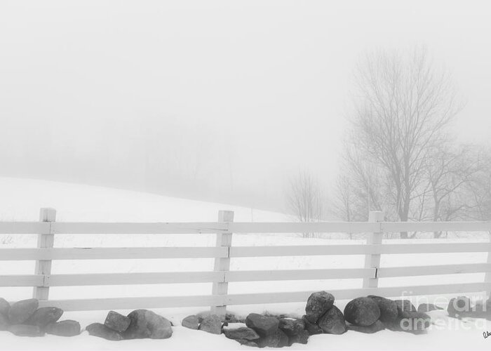 Fog Greeting Card featuring the photograph Foggy Winters Day #1 by Alana Ranney