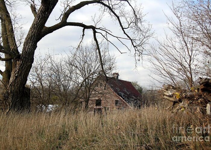 Barns Greeting Card featuring the photograph Forgotten Barn by Yumi Johnson