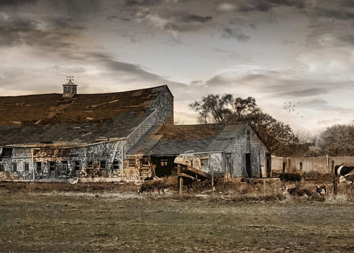Barns Greeting Card featuring the photograph Forlorn #1 by Robin-Lee Vieira