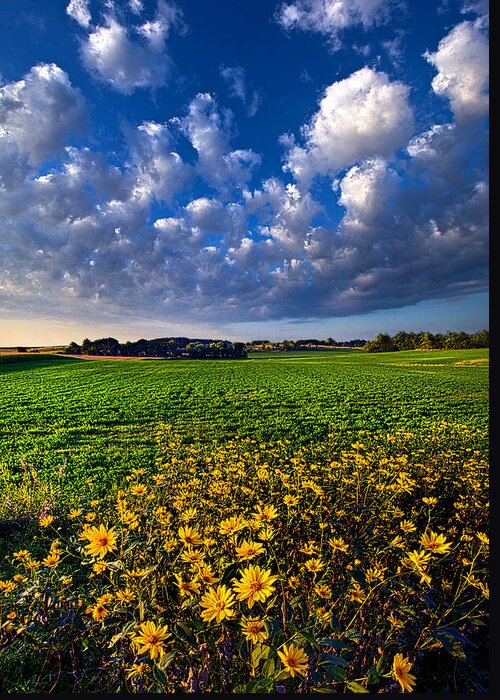 Horizons Greeting Card featuring the photograph Fresh Air #1 by Phil Koch