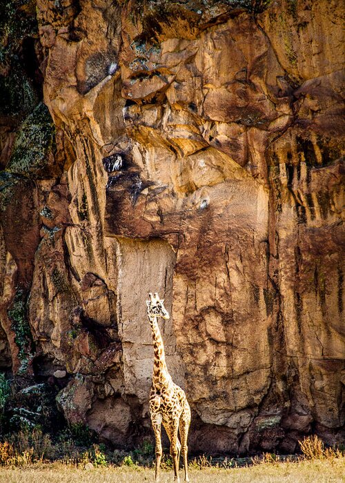 Africa Greeting Card featuring the photograph Giraffe Against The Rocks Color #1 by Mike Gaudaur