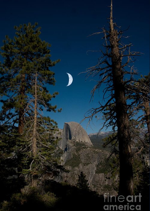 Yosemite Greeting Card featuring the photograph Half Dome, Yosemite Np #1 by Mark Newman
