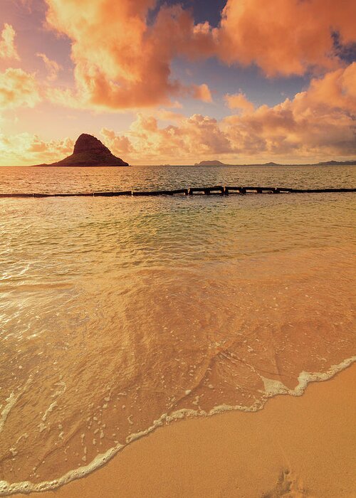 Tranquility Greeting Card featuring the photograph Hawaii, Oahu, Tropical Beach #1 by Michele Falzone