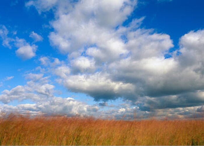 Photography Greeting Card featuring the photograph Hayden Prairie, Iowa, Usa #1 by Panoramic Images