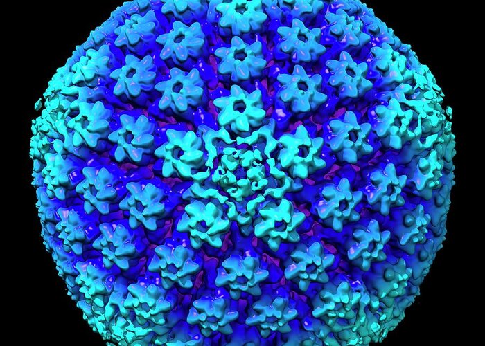Nobody Greeting Card featuring the photograph Herpes Simplex Virus #1 by Louise Hughes
