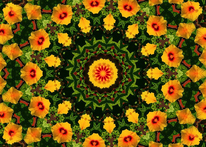 Hibiscus Greeting Card featuring the photograph Hibiscus Kaleidoscope by Bill Barber