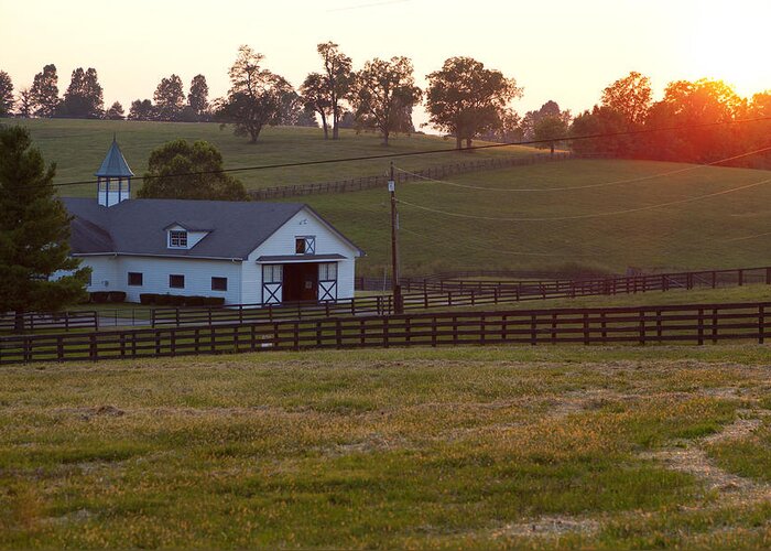 Farm Greeting Card featuring the photograph Horse Farm Sunset #1 by Alexey Stiop