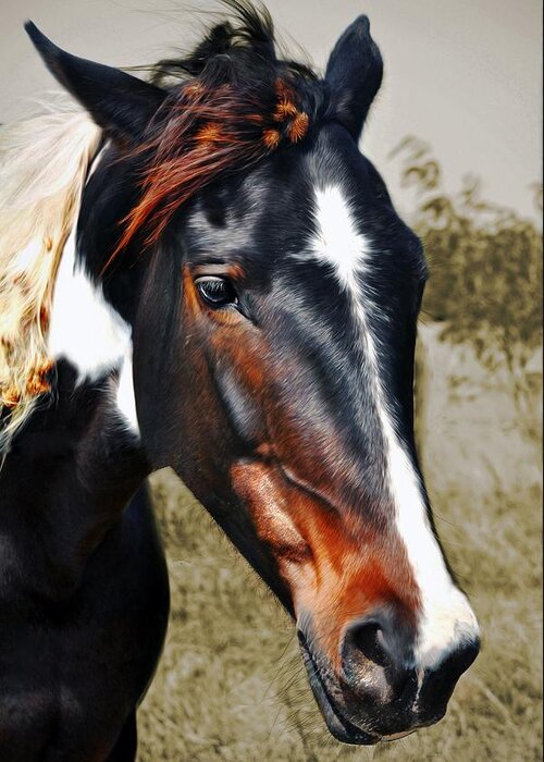 Horse Greeting Card featuring the photograph Horse #4 by Savannah Gibbs