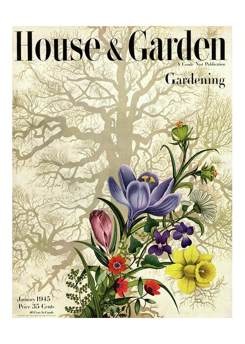 House And Garden Greeting Card featuring the photograph House And Garden Cover #1 by Edna Eicke