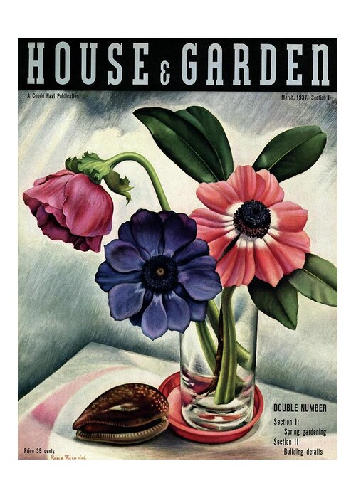 House And Garden Greeting Card featuring the photograph House And Garden Cover #1 by Edna Reindel