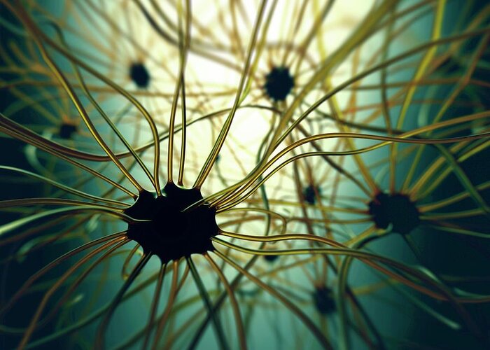Artwork Greeting Card featuring the photograph Human Nerve Cells #1 by Ktsdesign