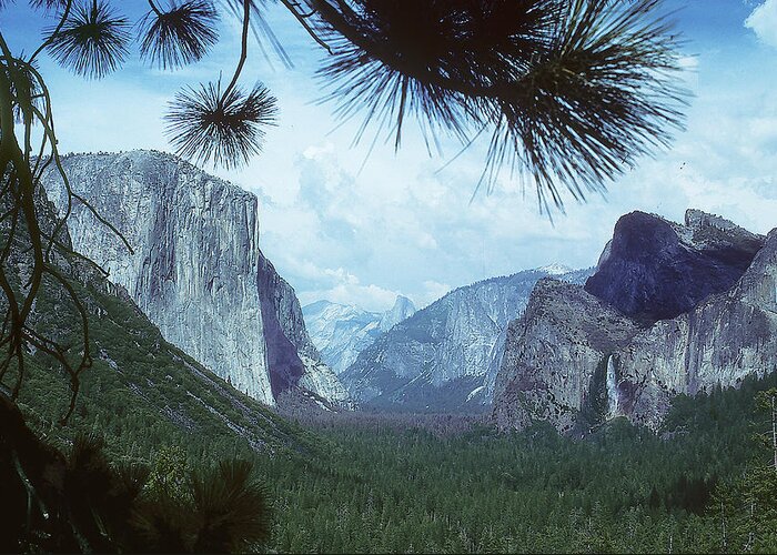 Yosemite National Park Greeting Card featuring the photograph In Memory of Ansel Adams #1 by Carl Purcell