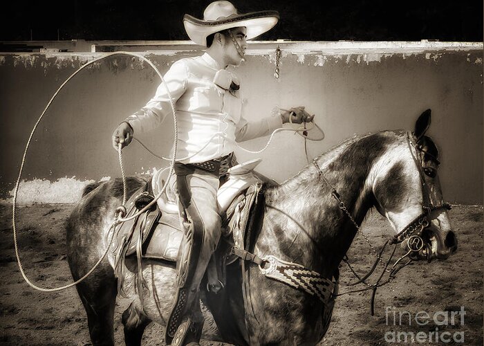 Cowboy Greeting Card featuring the photograph Lasso Artist #2 by Barry Weiss