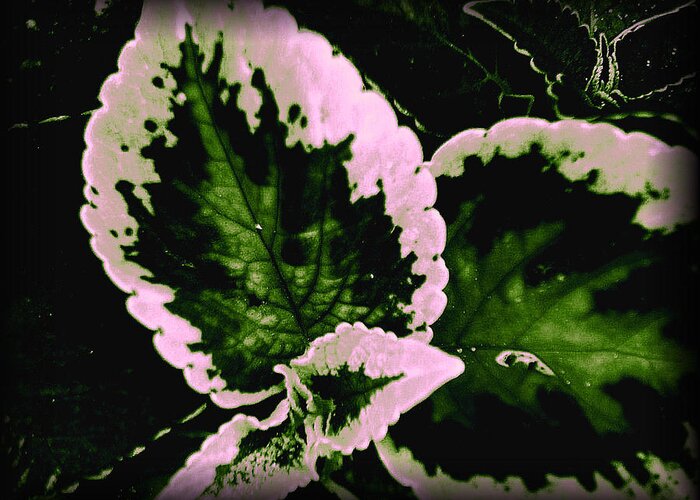  Greeting Card featuring the digital art Leaf 10 #1 by The Lovelock experience
