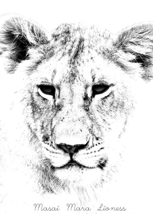 Lion Greeting Card featuring the photograph Lion Portrait #1 by Aidan Moran