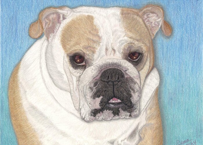 Colored Pencil Greeting Card featuring the drawing Little Lucy by Diana Hrabosky