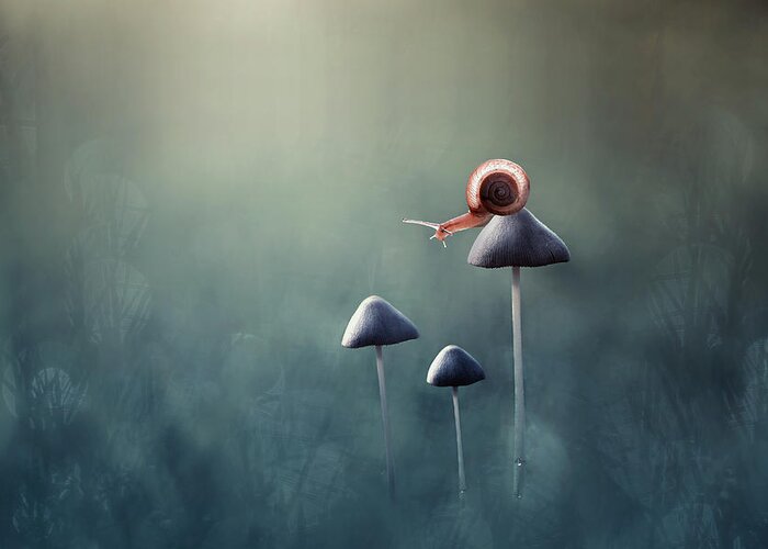 Macro Greeting Card featuring the photograph Lonely by Edy Pamungkas