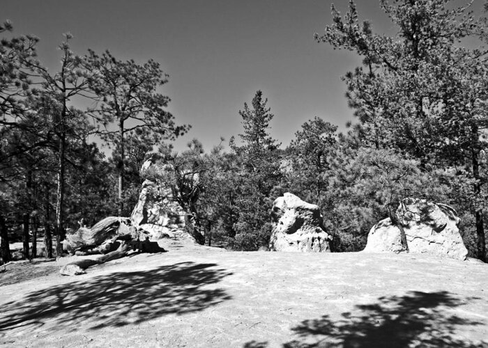 Mesa Greeting Card featuring the photograph Los Alamos Trail Find II #1 by Tom DiFrancesca