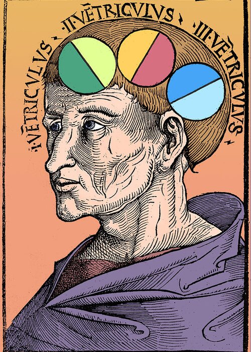 Science Greeting Card featuring the photograph Man With Brain Ventricles, Albertus #1 by Science Source