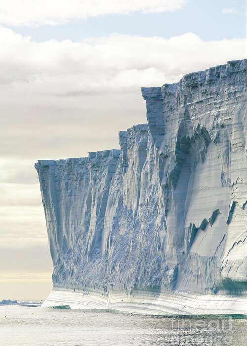 00346005 Greeting Card featuring the photograph Massive Iceberg South Georgia by Yva Momatiuk John Eastcott
