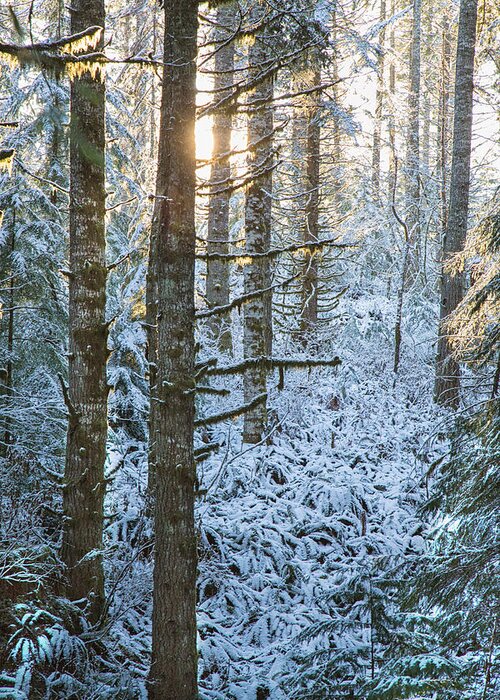 Oregon Snow Greeting Card featuring the photograph May the long time sun shine upon you #1 by Kunal Mehra