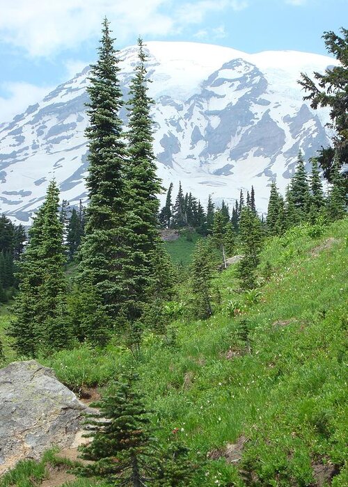 Snowy Mountain Greeting Card featuring the photograph Mt. Rainier #1 by Susan Woodward