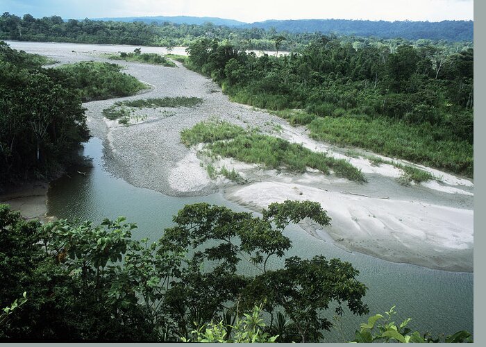 Napo River Greeting Card featuring the photograph Napo River #1 by Dr Morley Read/science Photo Library