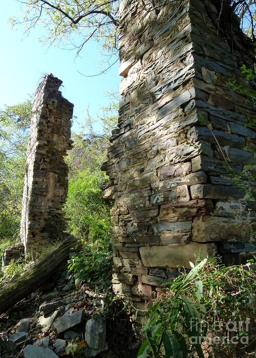 Jane Ford Greeting Card featuring the photograph Nature's Door by Jane Ford