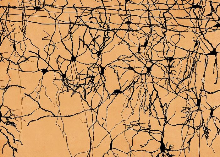 Action Greeting Card featuring the photograph Neuron Network, Artwork #1 by Juan Gaertner