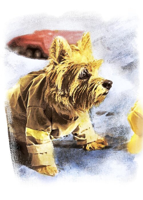 Watercolor Dog Greeting Card featuring the photograph Norwich Terrier Fire Dog #2 by Susan Stone