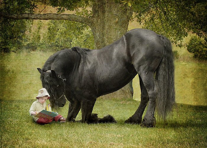 Friesian Greeting Card featuring the photograph Once Upon A Time by Fran J Scott