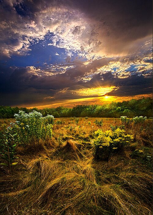 Horizons Greeting Card featuring the photograph Peace Of Mind #1 by Phil Koch