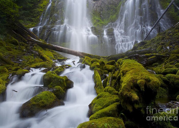 Waterfall Greeting Card featuring the photograph Proxy Falls #1 by Keith Kapple