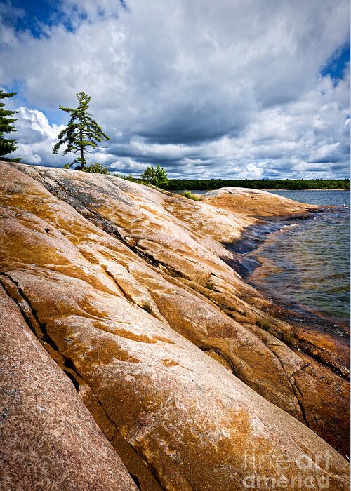 Georgian Greeting Card featuring the photograph Rocky shore of Georgian Bay 3 by Elena Elisseeva