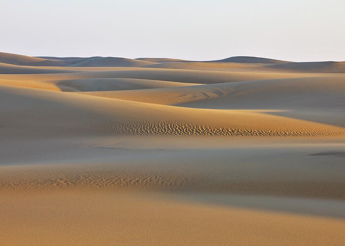 Tranquility Greeting Card featuring the photograph Sand Dunes #1 by Raimund Linke