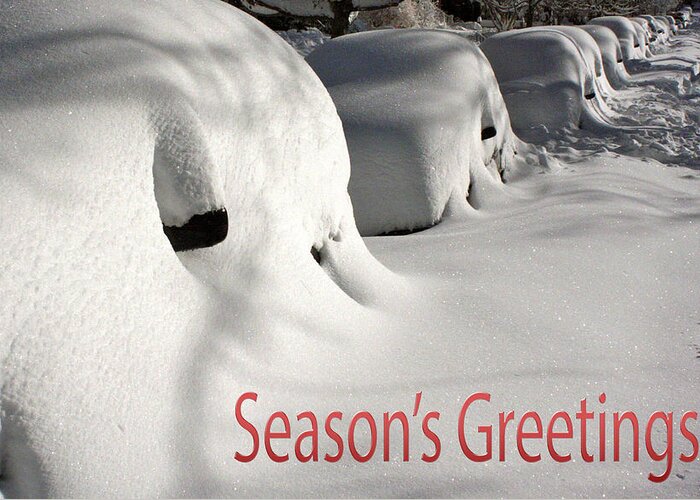Season's Greetings Greeting Card featuring the photograph Season's Greetings #1 by Stuart Litoff