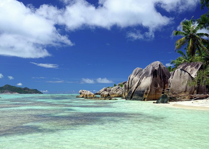 Tropical Tree Greeting Card featuring the photograph Seychelles Seascape #1 by Alxpin