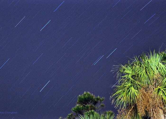 Landscape Greeting Card featuring the photograph Star Trails by Kay Lovingood