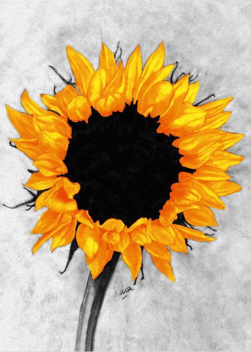 Sunflower Greeting Card featuring the photograph Sun Fire 2 by I'ina Van Lawick