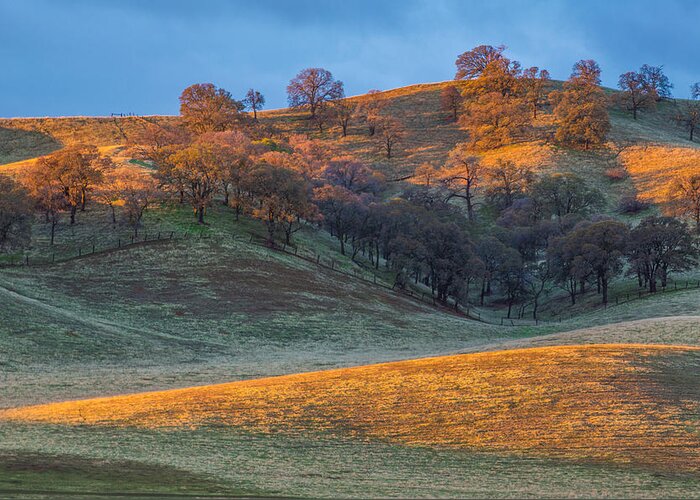 Landscape Greeting Card featuring the photograph Sunrise Light on Hills #1 by Marc Crumpler