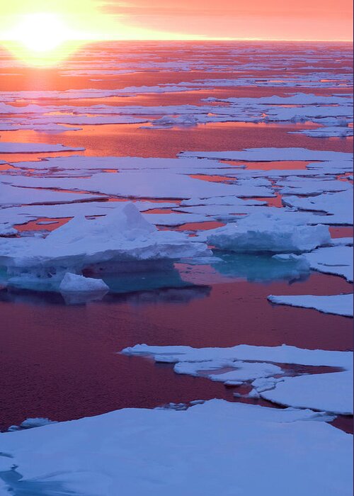 Amazement Greeting Card featuring the photograph Sunset, Greenland Sea, East Coast #1 by Daisy Gilardini