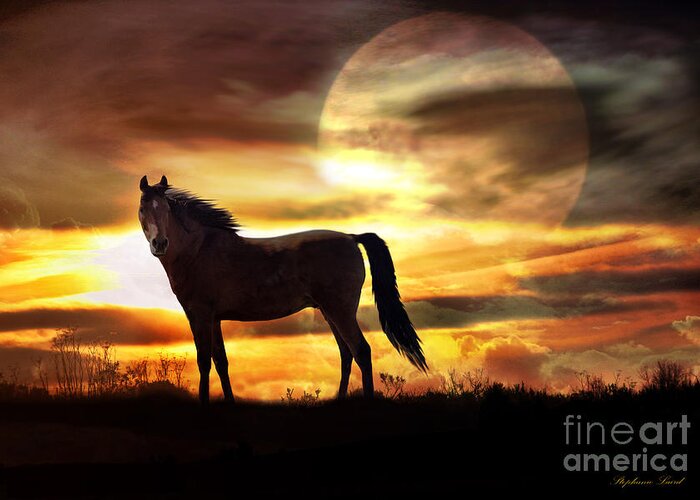 Horse Greeting Card featuring the photograph Sunstorm by Stephanie Laird